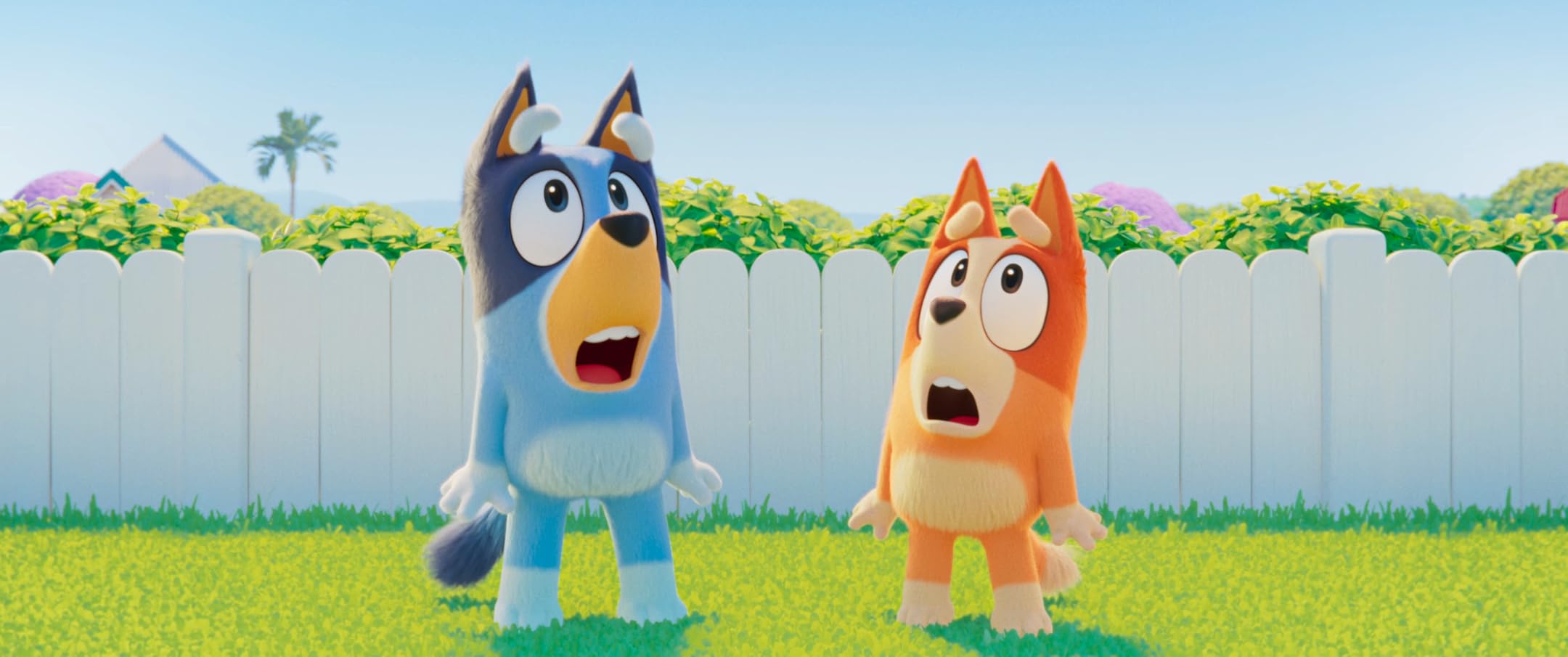 Bluey: o Filme (Dob.)