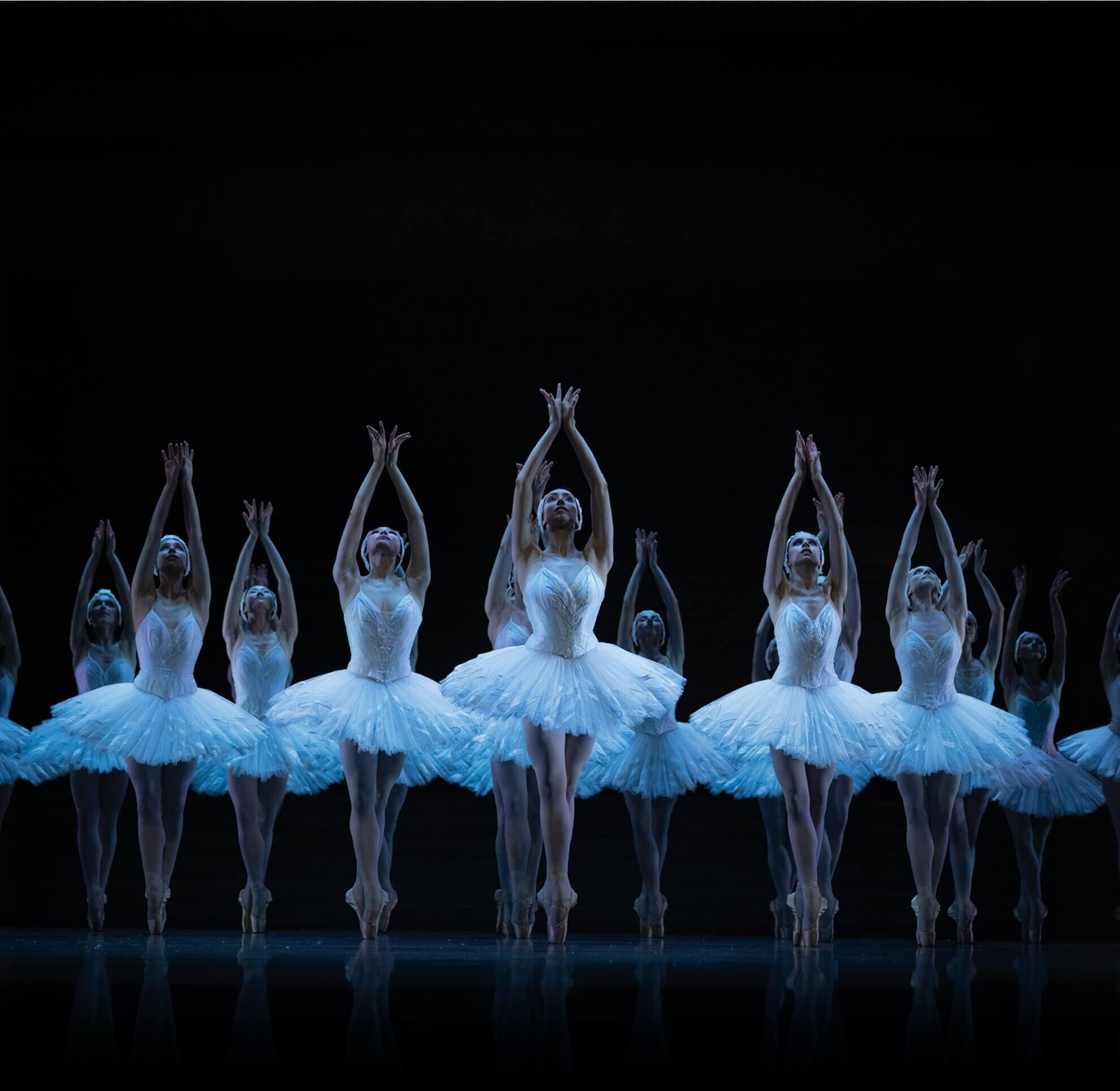 O Lago dos Cisnes. Ballet Da Ópera De Paris 26/27